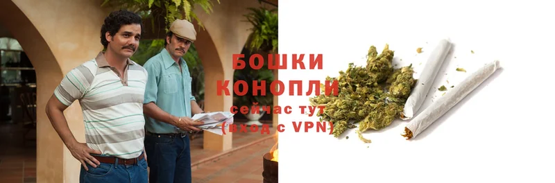 магазин  наркотиков  Жердевка  Марихуана THC 21% 